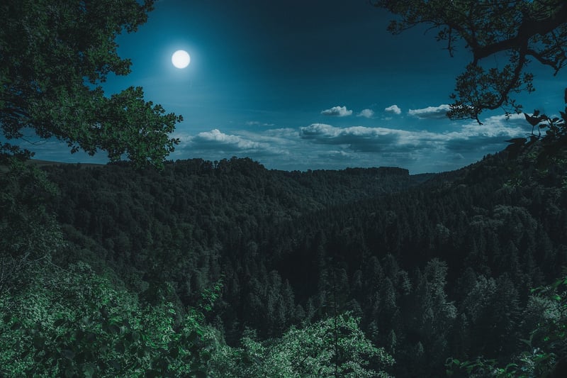 Mystical Landscapes