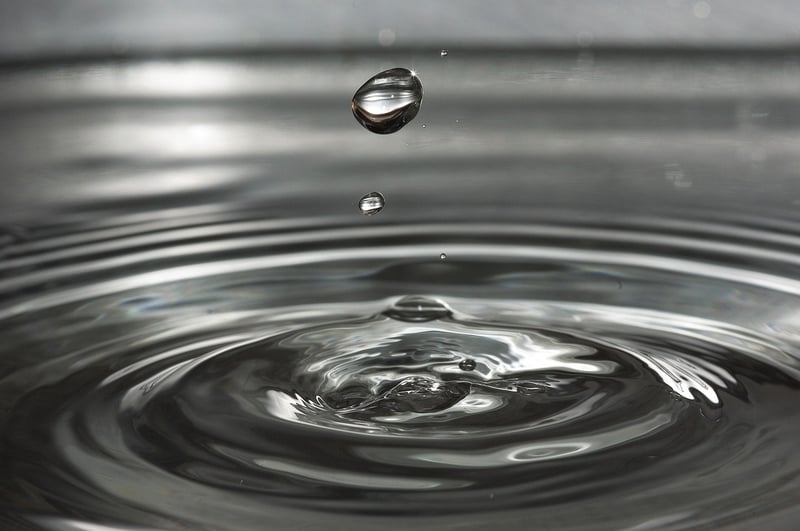 Serene Water Feature