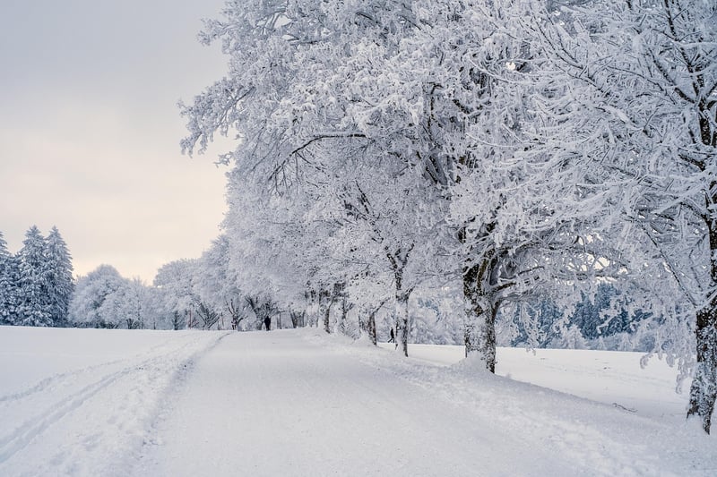 Winter Snow