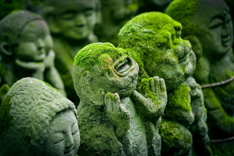 Zen Garden
